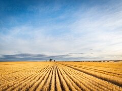 Portofoliu agricol premium 3.000 HA Sudul Romaniei oportunitate investitionala