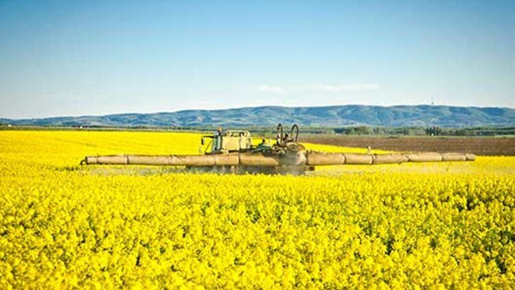 Portofoliu agricol premium 3.000 HA Sudul Romaniei oportunitate investitionala