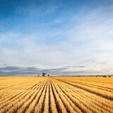 Portofoliu agricol premium 3.000 HA Sudul Romaniei oportunitate investitionala